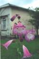 petrolstation_flower.JPG