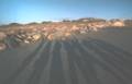 shadows.JPG